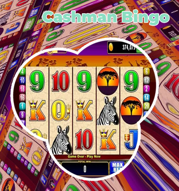 Cashman slot machine for sale